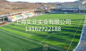 上海人造草坪材料,建設(shè)人造草坪專業(yè)保養(yǎng)