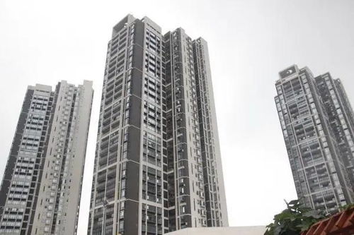 2020上海靜安區(qū) 了解背后原因以及詳情